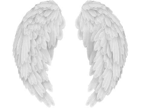 Wing Icon - Angel wings png download - 736*503 - Free Transparent Wing png Download. - Clip Art ...