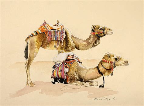 Camels from Petra Painting by Alison Cooper - Fine Art America