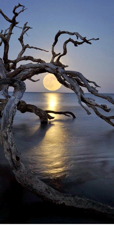 Mikael's Playground : Photo | Beautiful nature, Moon photography, Scenery