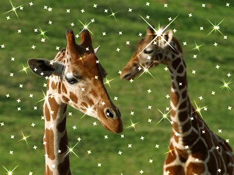 giraffe glitter - Clip Art Library