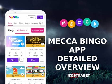 Mecca Bingo App for Android & iOS » Download & Install [2024]