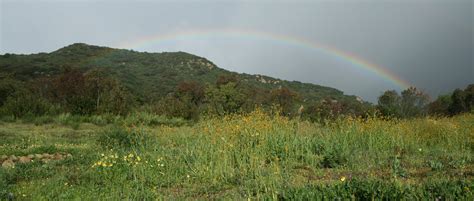 Laguna Coast Wilderness Park and Hiking Trails - Irvine Ranch Natural Landmarks