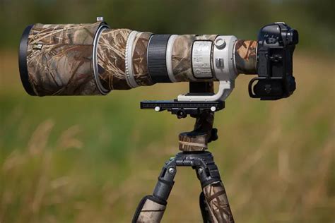 What Is Telephoto Lens and How to Make the Most of It