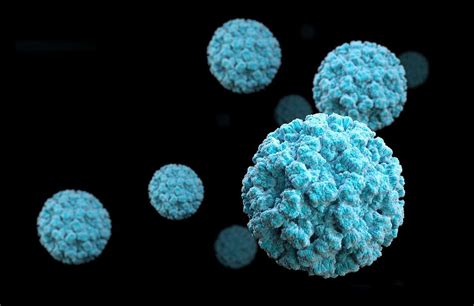 Norovirus takes over the US – The Voice