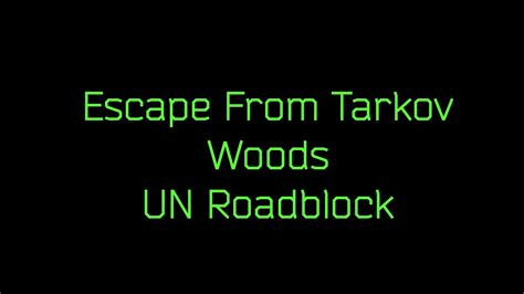 EFT Woods UN Roadblock Extract - YouTube