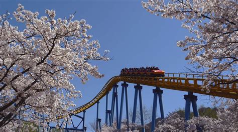 Seoul Land Theme Park Discount Tickets in Gyeonggi-do - Klook