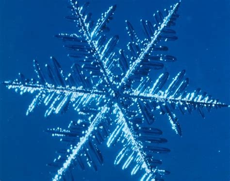 Earth Weather: How Beautiful Snowflakes Are Formed