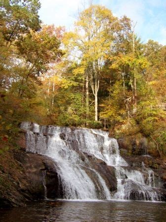 Cane Creek Falls | Dahlonega, Georgia | Georgia vacation, Hiking in georgia, Visit georgia