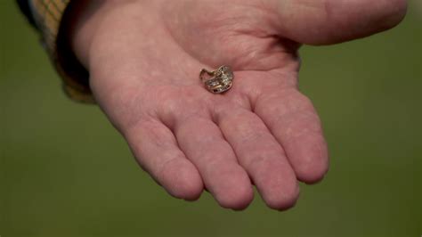 Diamond ring found in wastewater treatment plant returned to owner after 13 years | FOX 9 ...