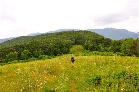 North Carolina | Appalachian Trail Conservancy