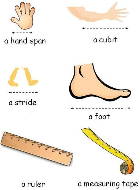 Primary Three Measuring