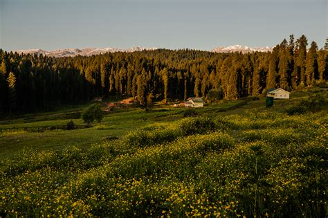 Elevation of Doodhpathri, Budgam Jammu and Kashmir, Forest Block, Jammu and Kashmir ...