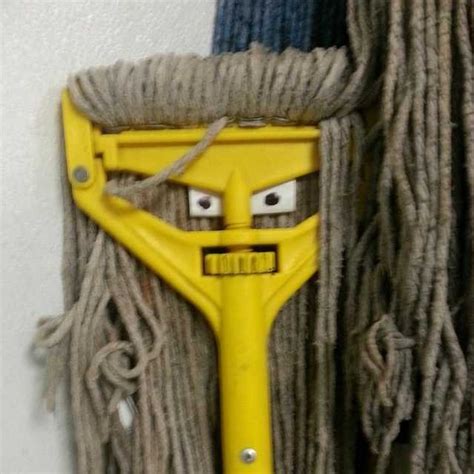 Create meme "funny pics with MOP, dirty MOP, MOP shaggy" - Pictures - Meme-arsenal.com