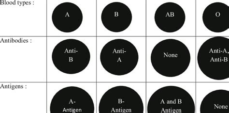 Blood types, antigens, and antibodies Blood groups : Blood Group A ...