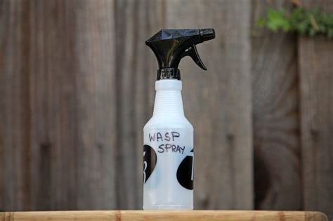 Homemade Wasp Spray | Hunker | Wasp spray, Insect spray, Spray