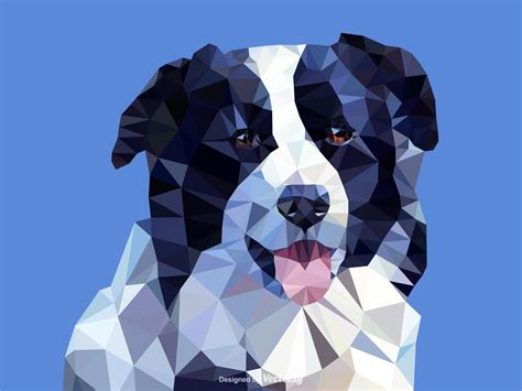 Abstract Border Collie Dog Portrait In Low Poly Vector Design 210848 ...