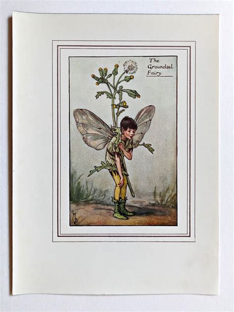 Groundsel Fairy Print – Flower Fairy Prints