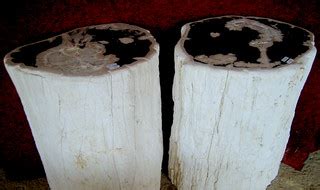 PETRIFIED WOOD SIDE TABLE | Petrified wood stools. Rustic st… | Flickr