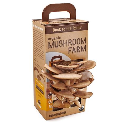 Mushroom Kit | Oyster Mushroom Garden Grow Box | UncommonGoods