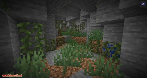 Cave Biomes Mod 1.17.1, 1.16.5 (Exploring Cave More Fun) - 9Minecraft.Net