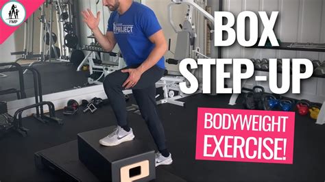 Box Step Up Workout for Gym | Fitness and Workout ABS Tutorial