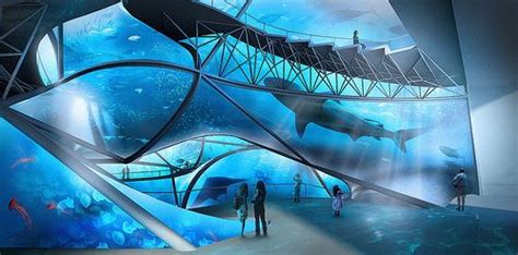 Aquarium Architecture and Design