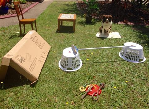 The top 22 Ideas About Diy Dog Obstacle Course - Home, Family, Style and Art Ideas