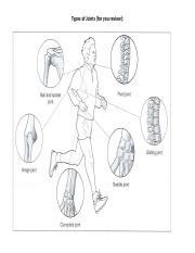 Types of Joints Worksheet.docx - Types of Joints for you review : Label the parts of a synovial ...