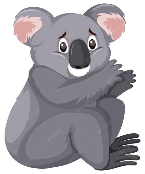 Premium Vector | Sad looking koala