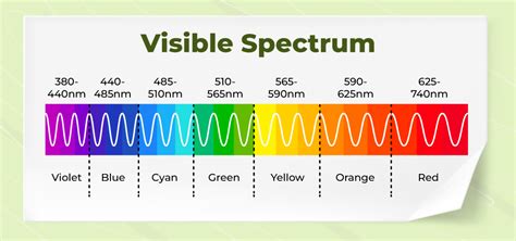 What is Dispersion of Light?