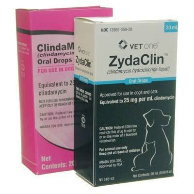 Clindamycin Drops - Antibiotics for Pets | VetRxDirect