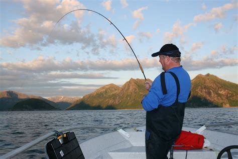 Fly fishing for coalfish in Norway - Talk Sea Fishing