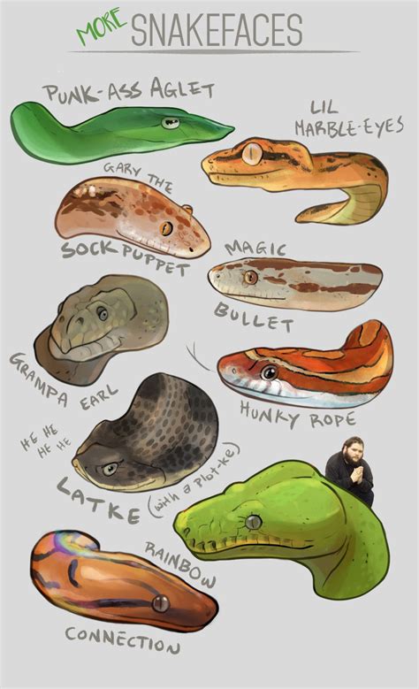 Moar snek face | Snake drawing, Cute reptiles, Snake art