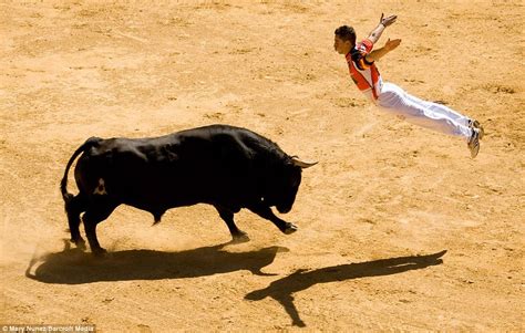 Bull Fighting: Spain Bull Fight