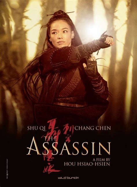 THE ASSASSIN - Movieguide | Movie Reviews for Families