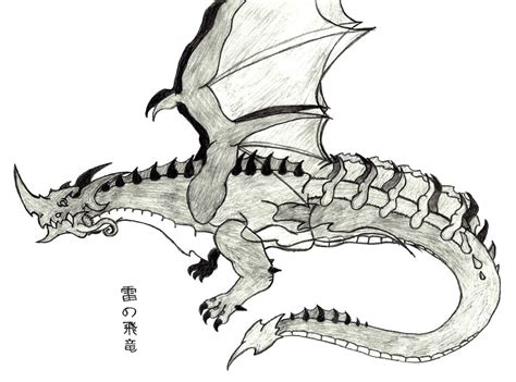 Thunder Wyvern (Sketch) by Ultima-the-RedWyrm on deviantART