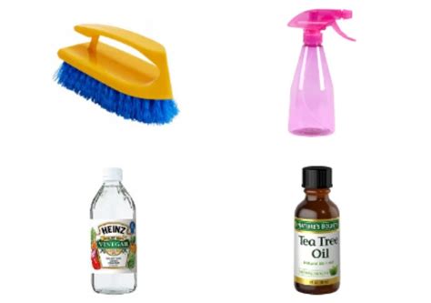 The Magic Bathroom Mould Cleaner You Can Make Yourself - Electrodry Blogs