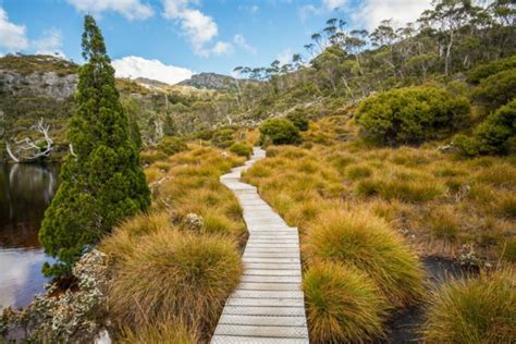 Tasmania's Best National Parks - Horizon Guides