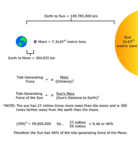 Calculate Gravitational Force Between Earth And Sun - The Earth Images Revimage.Org