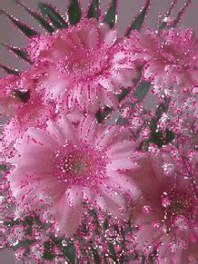 Pink Flowers GIFs | Tenor