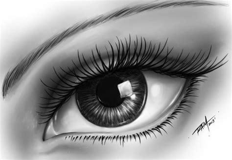 Realistic Eye Drawing By Ram