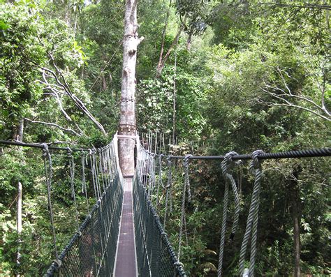 Penang National Park