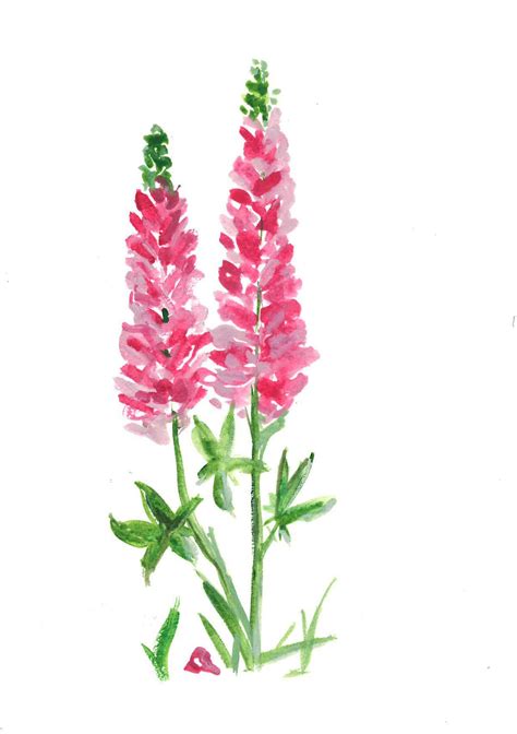 LUPINE lupines ORIGINAL Painting WATERCOLOR aquarelle painting | Etsy