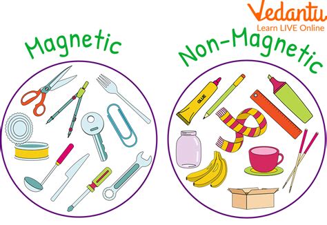 Magnets: Learn Definition, Facts and Examples