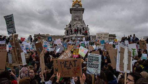 Climate change protesters prepare to bicycle home – NewsThump