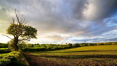 English Countryside Wallpaper (48+ pictures) | Landscape wallpaper, Beautiful landscape ...