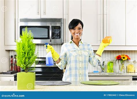 Young Woman Cleaning Kitchen Stock Photography - Image: 17802442