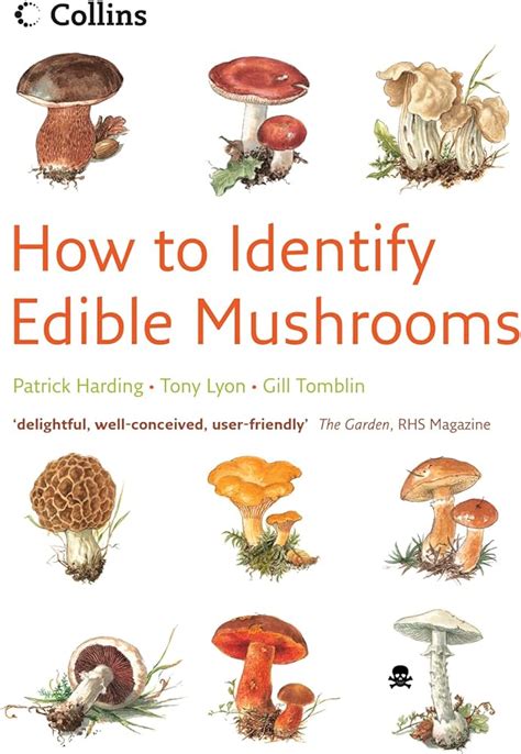 Top 16 Types Of Edible Mushrooms With Pictures [SELECTIVE], 55% OFF