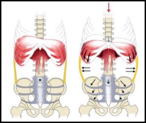 How to Deadlift with Proper Form: The Ultimate Guide | Rehab-U Blog