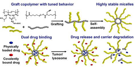 Graft Copolymers with Tunable Amphiphilicity tailored for Efficient Dual Drug Delivery via ...